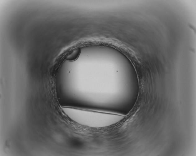 X0000096201494200801181019