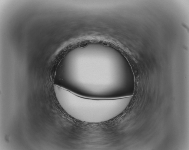 X0000096201495200801181019