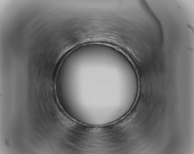 X0000096201497200801181019
