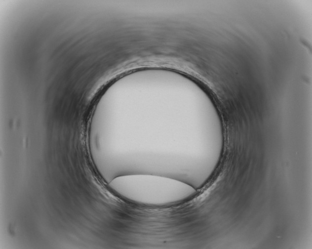 X0000096201498200801181019