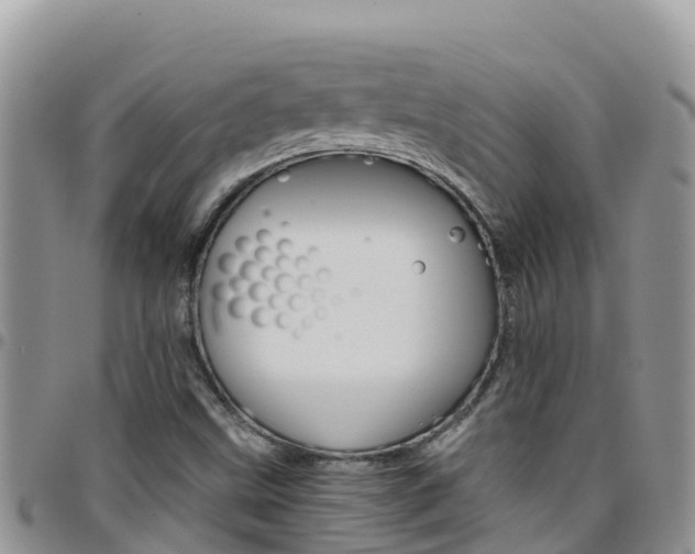 X0000096201499200801181019