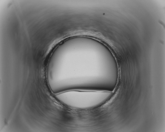 X0000096201501200801181019