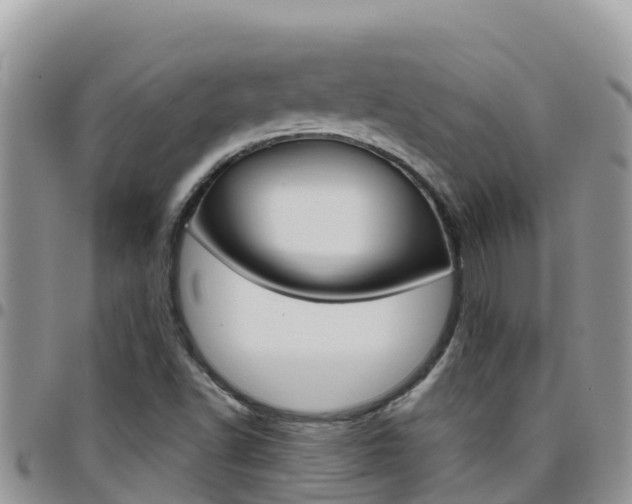 X0000096201502200801181019