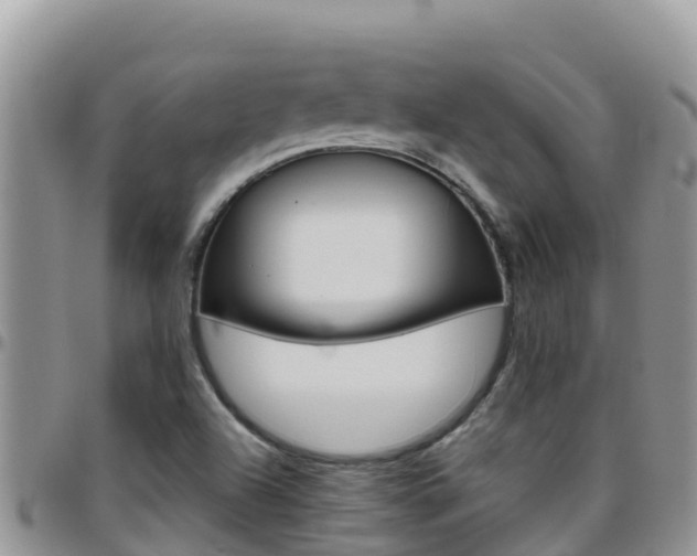 X0000096201504200801181019