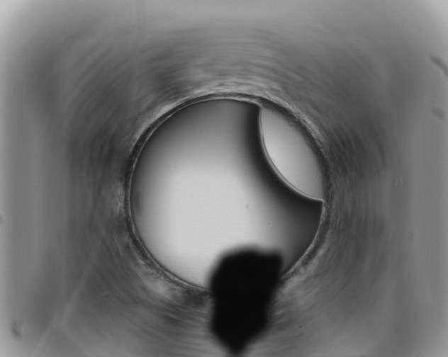 X0000096201505200801181019