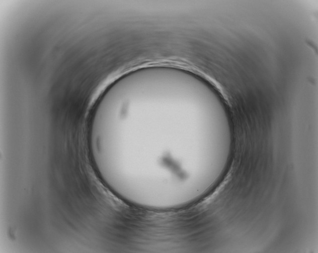 X0000096201506200801181019