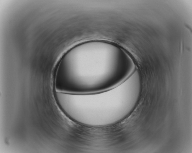 X0000096201508200801181019
