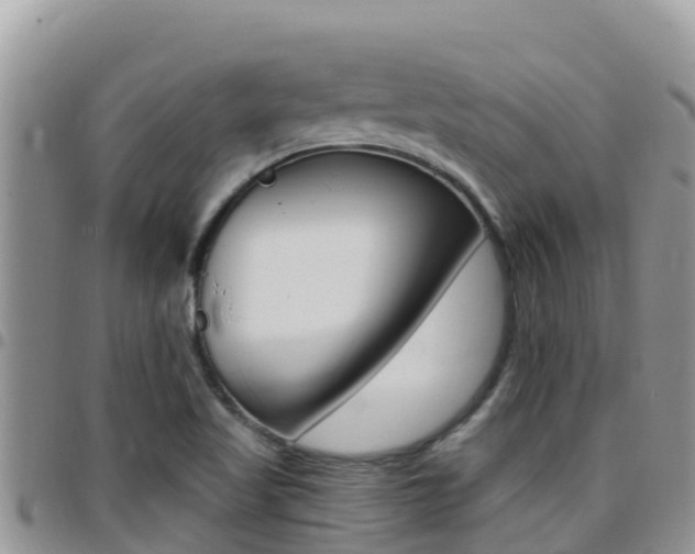 X0000096201509200801181019
