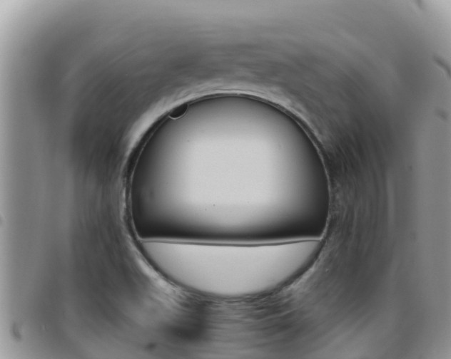 X0000096201511200801181019
