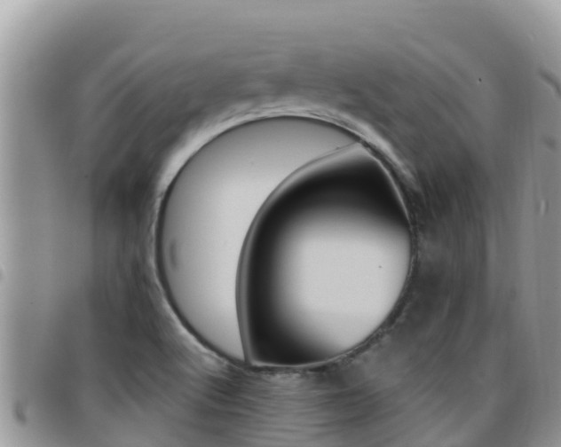 X0000096201512200801181019