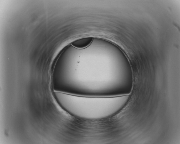 X0000096201515200801181019