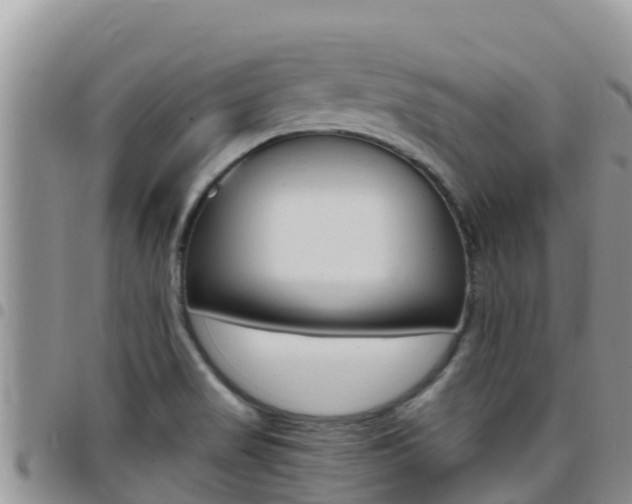 X0000096201517200801181019