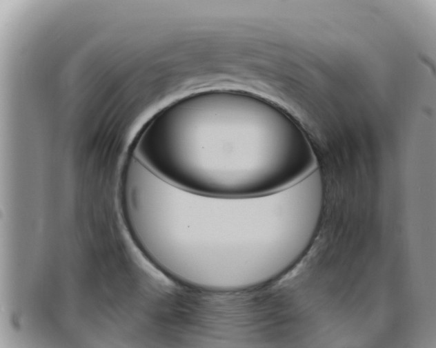 X0000096201518200801181019
