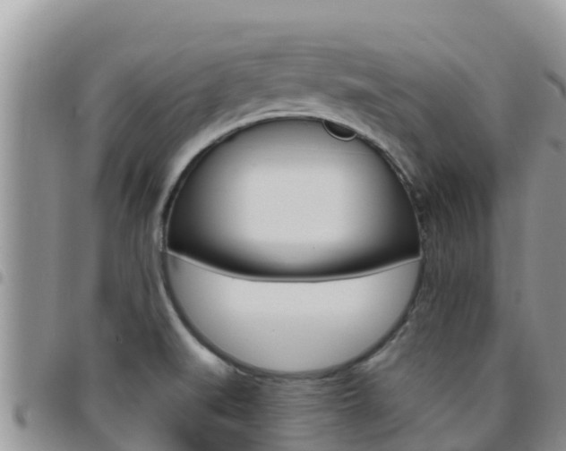 X0000096201519200801181019