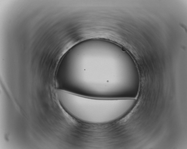 X0000096201521200801181020