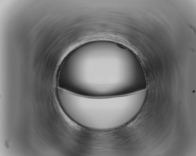X0000096201523200801181020