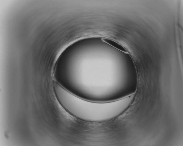 X0000096201524200801181020