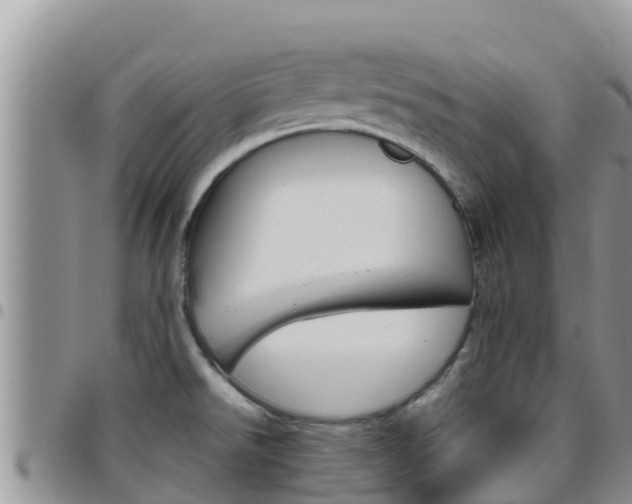 X0000096201526200801181020