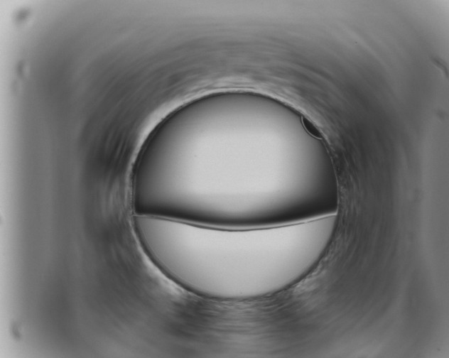 X0000096201527200801181020
