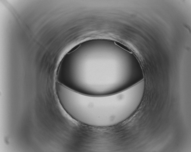 X0000096201528200801181020
