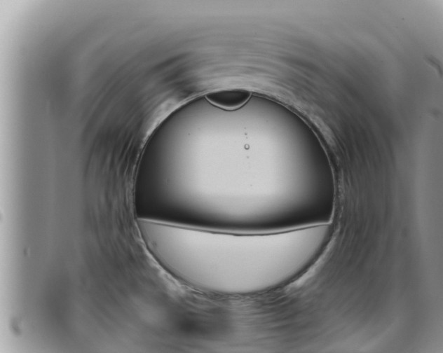 X0000096201529200801181020