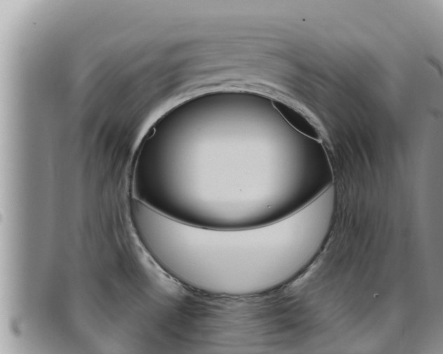 X0000096201530200801181020