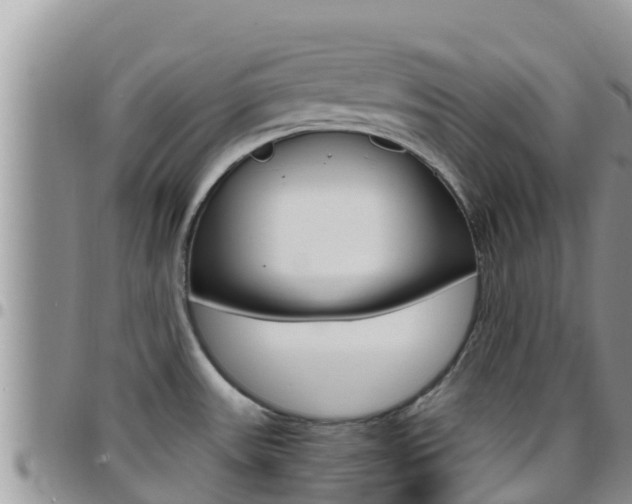 X0000096201531200801181020
