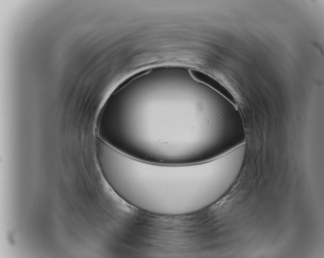 X0000096201532200801181020