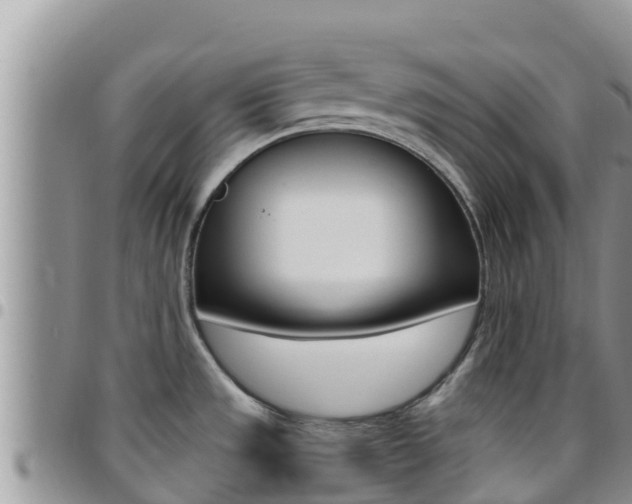 X0000096201533200801181020