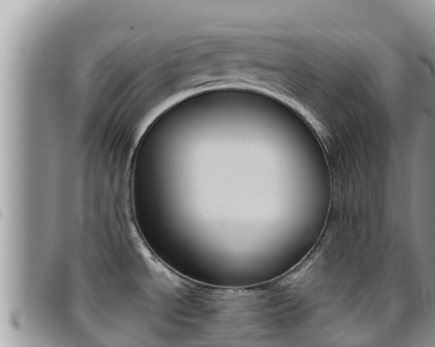 X0000096201534200801181020