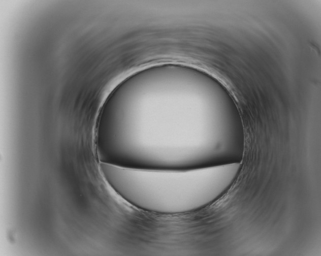 X0000096201535200801181020