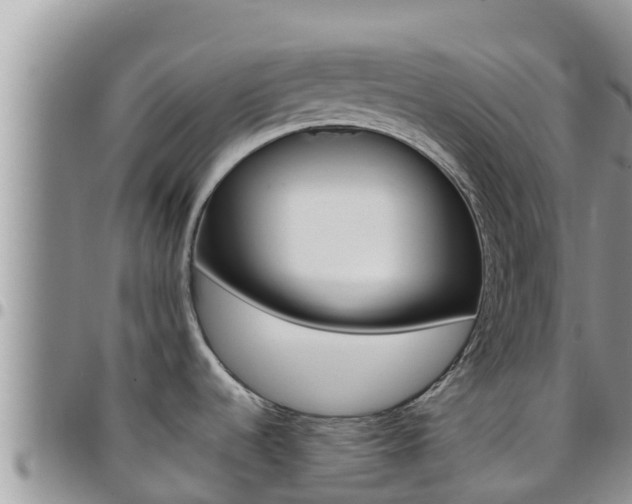 X0000096201536200801181020