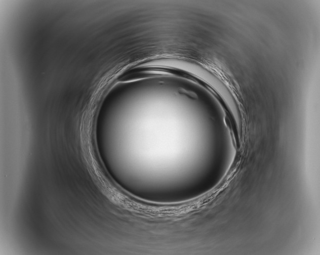 X0000096200001200801181350
