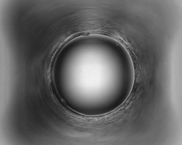 X0000096200002200801181350