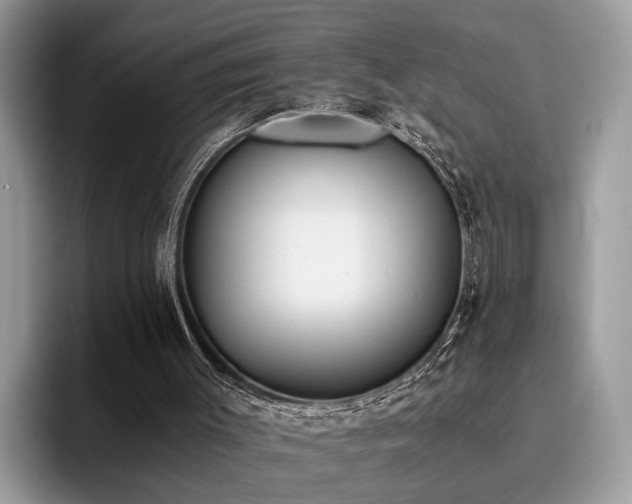 X0000096200003200801181350