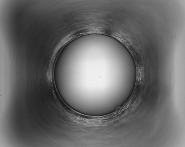 X0000096200004200801181350