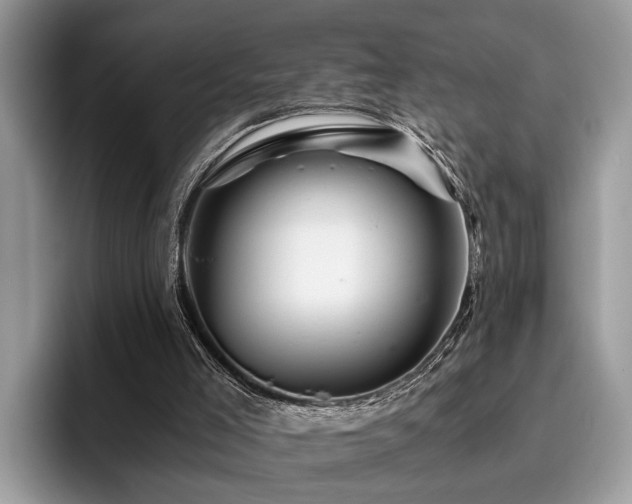 X0000096200005200801181350
