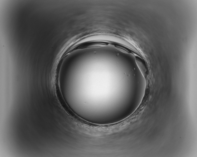 X0000096200007200801181350