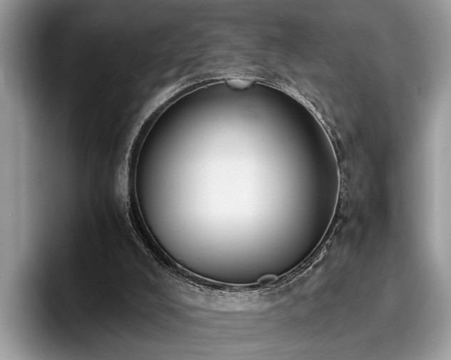 X0000096200008200801181350