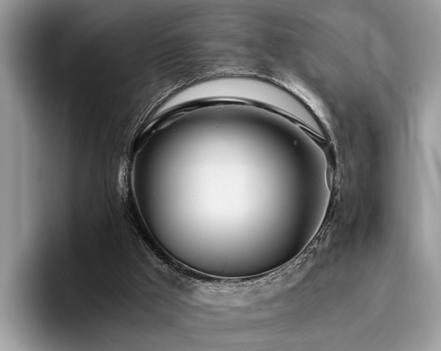 X0000096200009200801181350