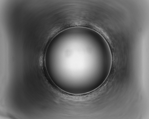 X0000096200010200801181350