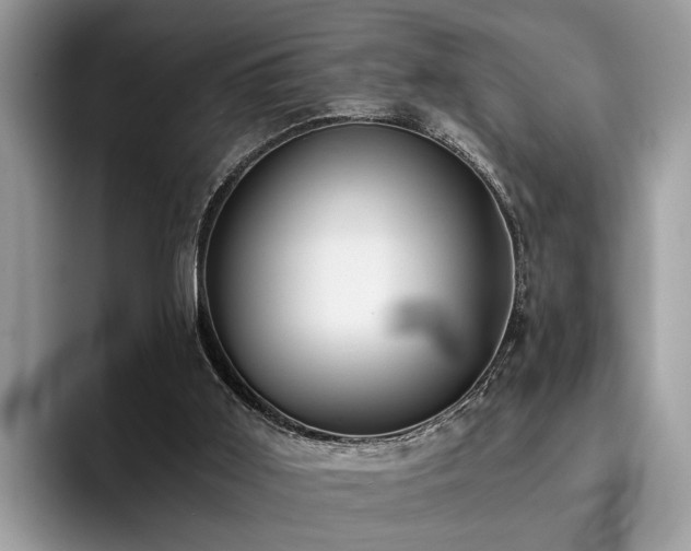 X0000096200011200801181350