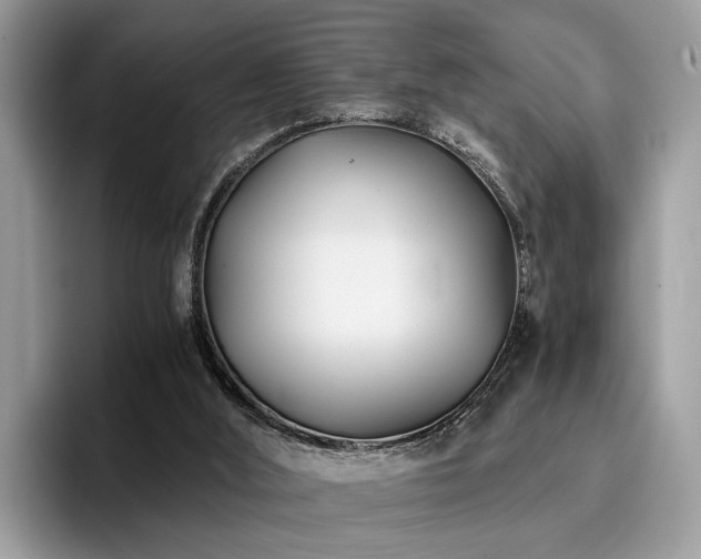 X0000096200012200801181350