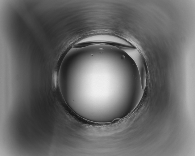 X0000096200013200801181350