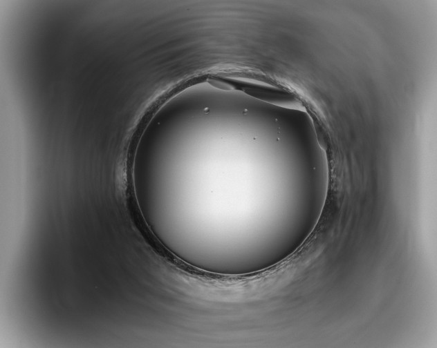 X0000096200015200801181350