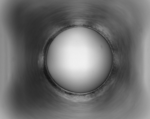 X0000096200016200801181350