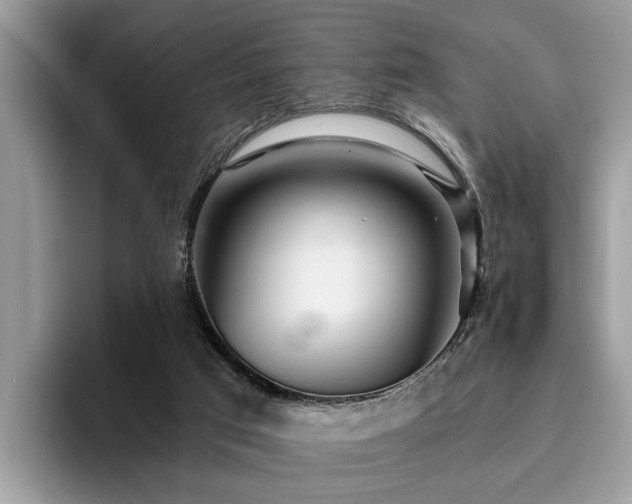 X0000096200017200801181350