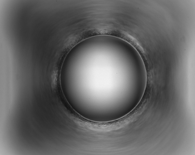 X0000096200018200801181350