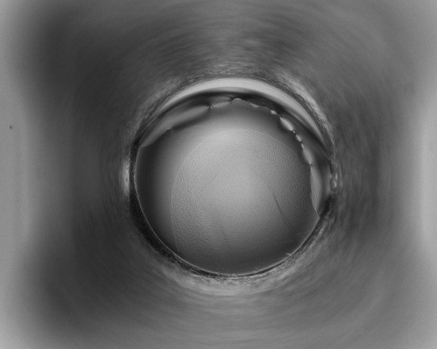 X0000096200019200801181350