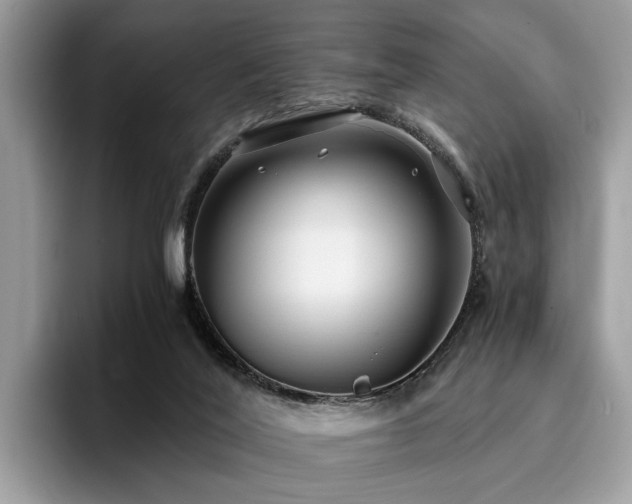 X0000096200020200801181350